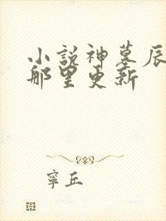 小说神墓辰东在那里更新