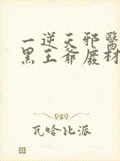 一逆天邪医:兽黑王爷废材妃