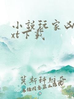 小说玩家凶猛txt下载