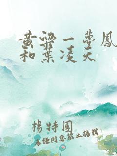 黄粱一梦凤惑君和叶凌天