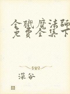 全职魔法师漫画免费全集下拉式六