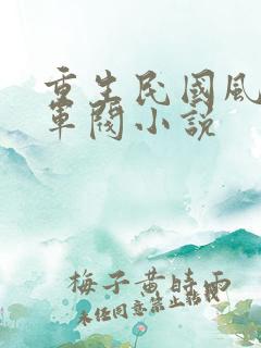 重生民国风流大军阀小说