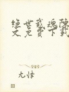 绝世武魂陈枫全文免费下载txt