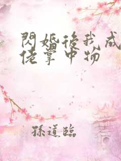 闪婚后我成了大佬掌中物