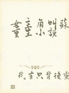 女主角叫苏鸢的重生小说