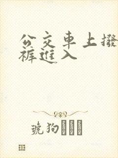 公交车上拨开内裤进入