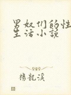 男奴们的性调教生活小说