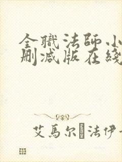 全职法师小说未删减版在线