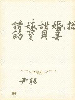 错嫁甜婚,总裁的宝贝妻
