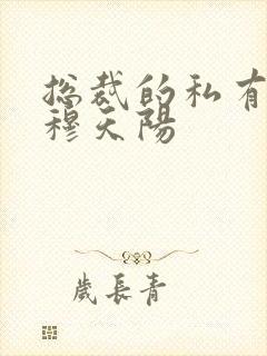 总裁的私有宝贝穆天阳