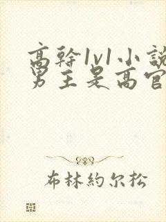 高干1v1小说男主是高官的小说