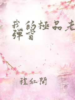 我的极品老婆无弹窗