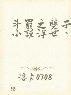 斗罗之双子斗罗小说浮世丶
