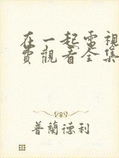 在一起电视剧免费观看全集完整版