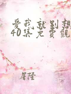 爱我就别想太多40集免费观看