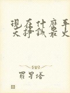 现在什么平台聊天挣钱最火
