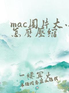 mac图片大小怎么压缩