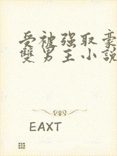 受被强取豪夺的双男主小说