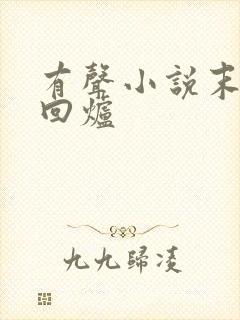 有声小说末世大回炉