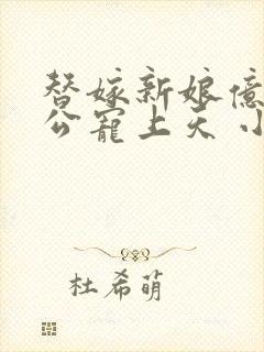 替嫁新娘亿万老公宠上天 小说