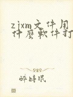zjxm文件用什么软件打开