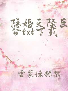 隐婚天降巨富老公txt下载