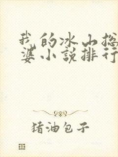 我的冰山总裁老婆小说排行榜