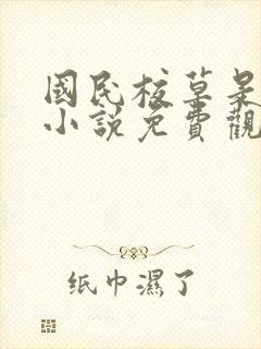 国民校草是女生小说免费观看