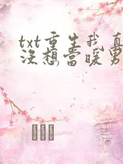 txt重生我真没想当暖男