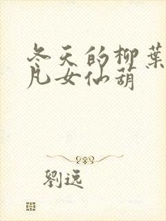 冬天的柳叶小说凡女仙葫