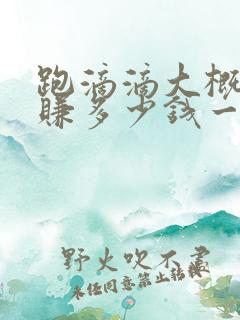 跑滴滴大概可以赚多少钱一个月