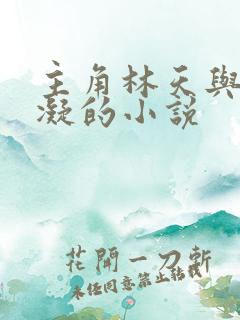 主角林天与洛冰凝的小说