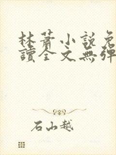 林萧小说免费阅读全文无弹窗