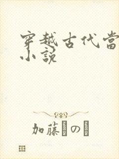穿越古代当赘婿小说