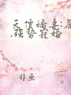 天价娇妻:厉少,强势宠婚