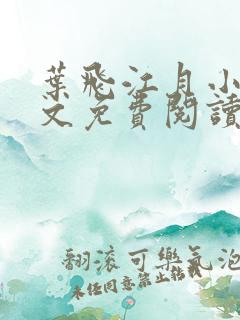 叶飞江月小说全文免费阅读