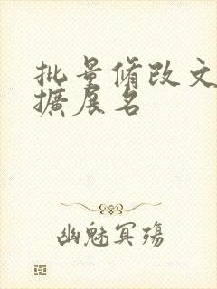 批量修改文件的扩展名