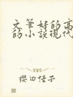 文笔好的高质量的小说现代言情推荐