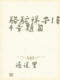 骆驼祥子1到24章题目