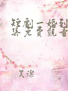 短剧一婚到底全集免费观看