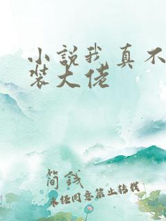 小说我真不是女装大佬