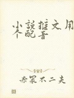 小说推文用的哪个配音