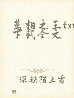 万相之王txt下载全文