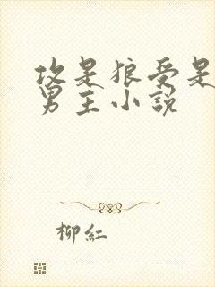 攻是狼受是人双男主小说