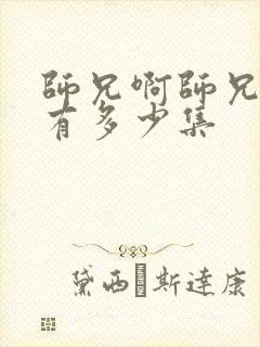 师兄啊师兄总共有多少集