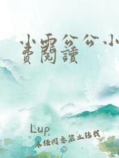小雨公公小说免费阅读