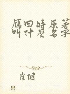 雁回时原著小说叫什么名字