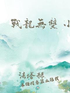 战龙无双 小说