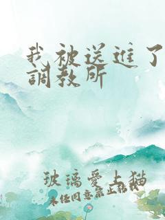我被送进了私奴调教所