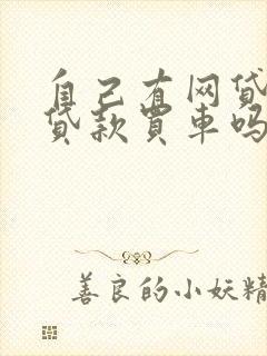 自己有网贷可以贷款买车吗